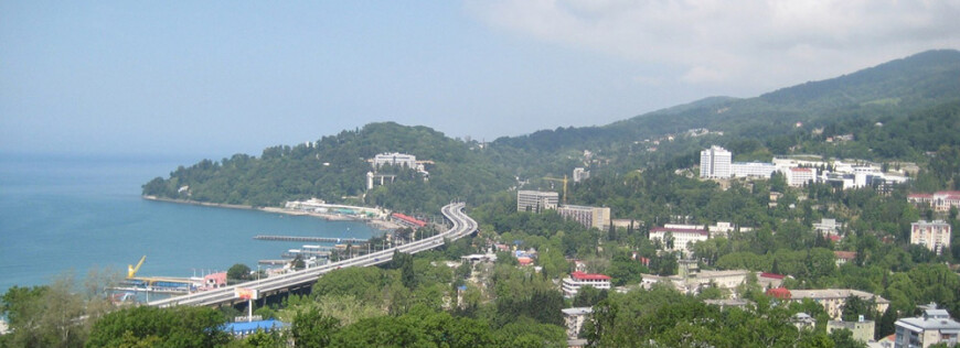 Изображение Хосты