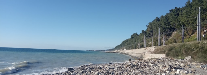 Изображение Волконки