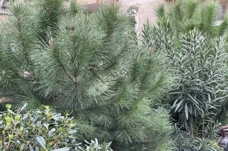 Квартира «Прохладная долина»