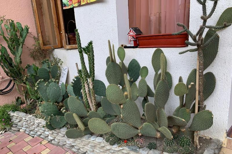 Гостевой дом «Анита»