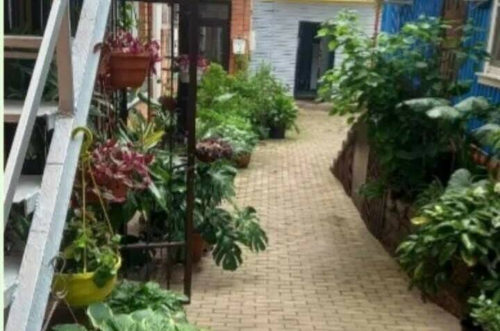 Частное домовладение на Павлова