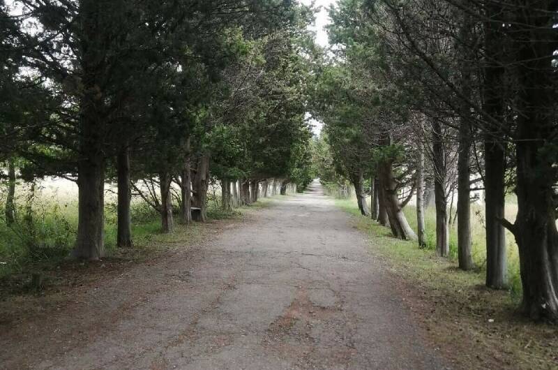 Частный дом «Вишенка»