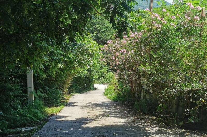 Дом в национальном парке