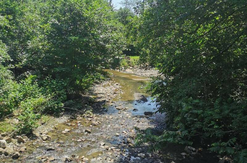 Дом в национальном парке