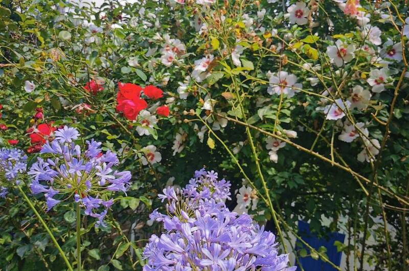 Дом в национальном парке