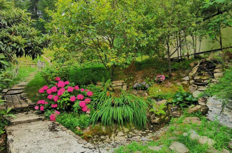 Дом в национальном парке