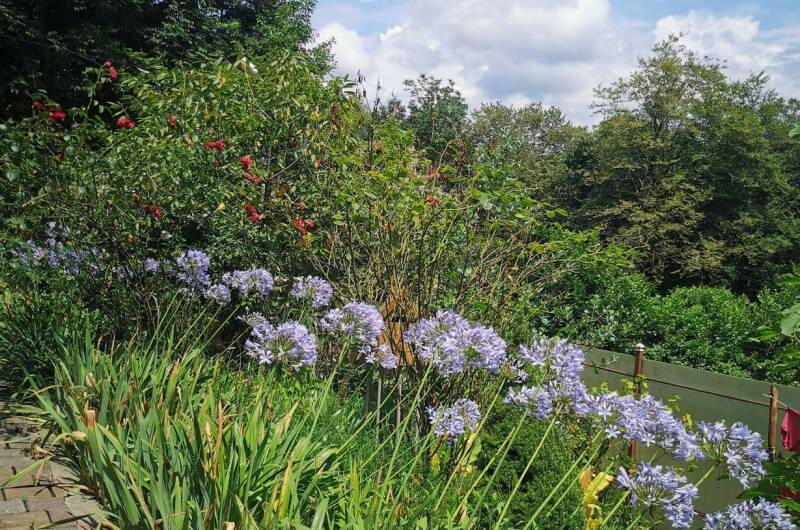 Дом в национальном парке
