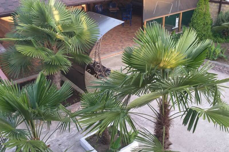 Гостиничный Комплекс «Юг»