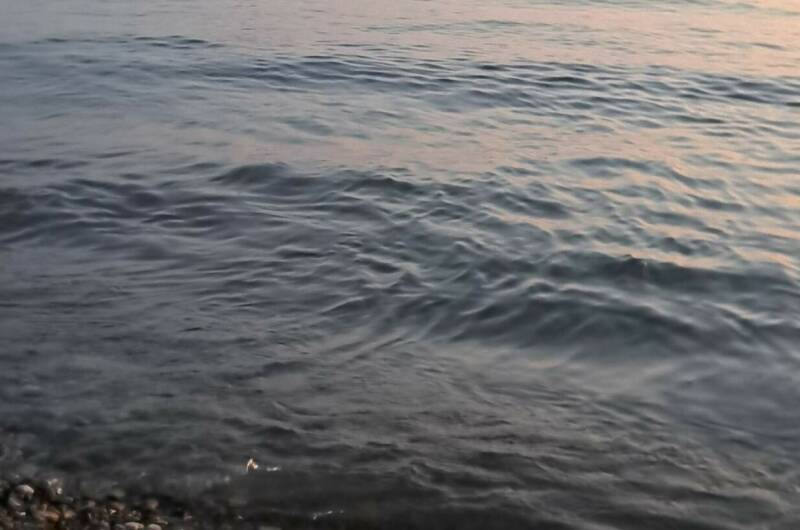 Гостевой дом на Гусь-Хрустальный