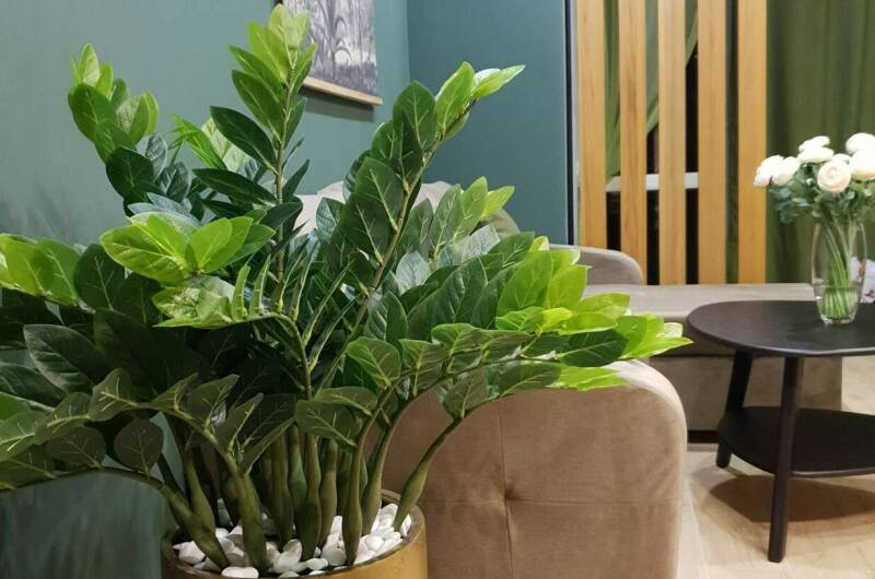 Таунхаус в Головинке