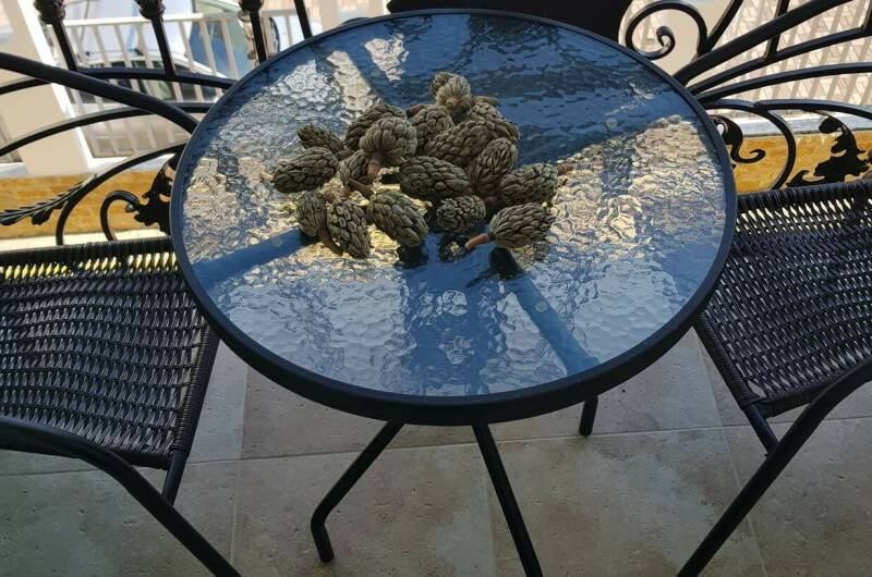 Евродвушка в ЖК «Арт Лайт Сити»