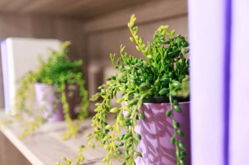 2-х комнатная квартира у моря