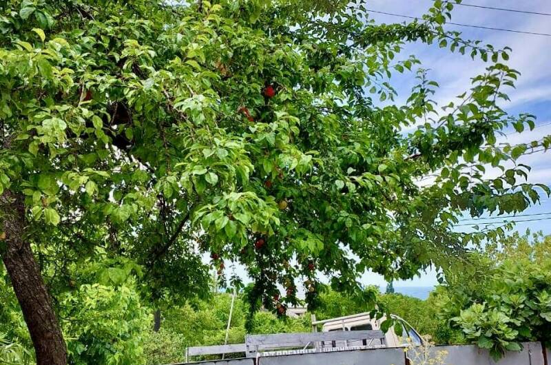 Частный сектор «У Роберта и Риты»