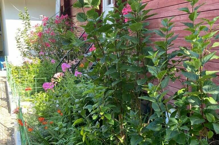 Гостевой дом «Дарья»