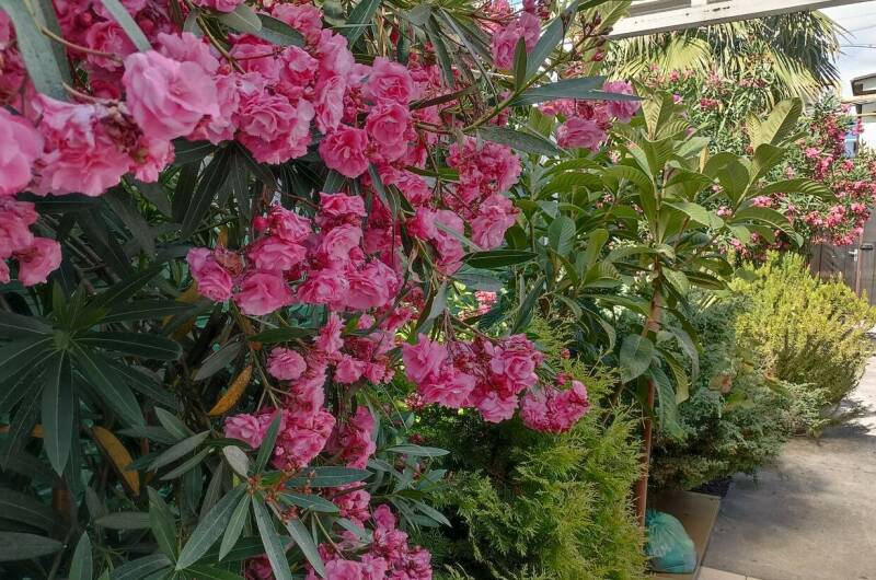 Вилла «Лиза»