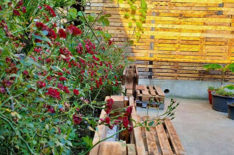 Гостевой «Имидж дом»