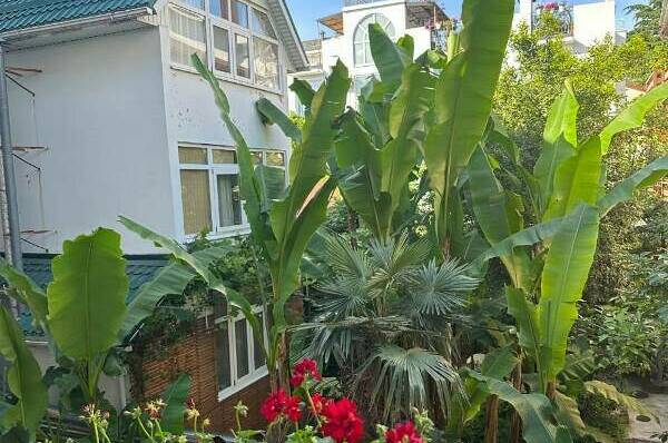 Гостевой дом «Патио»