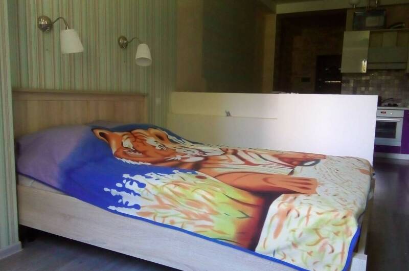 Однокомнатная квартира «Andrei»