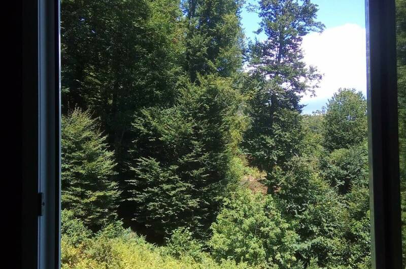 Однокомнатная квартира «Andrei»