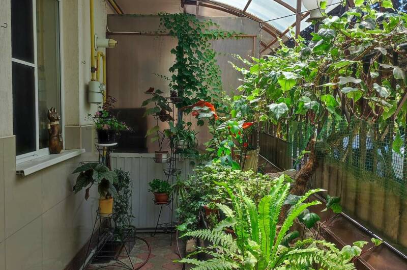 Гостевой дом «Живой уголок»