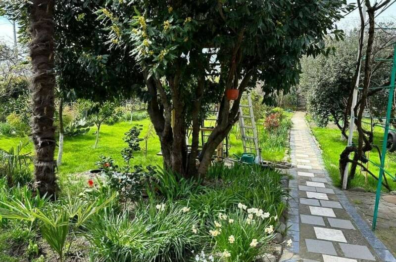 Апартаменты с отдельным входом «Адам»