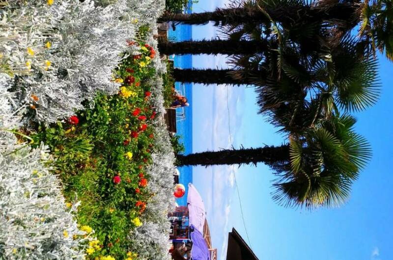 Студия у моря