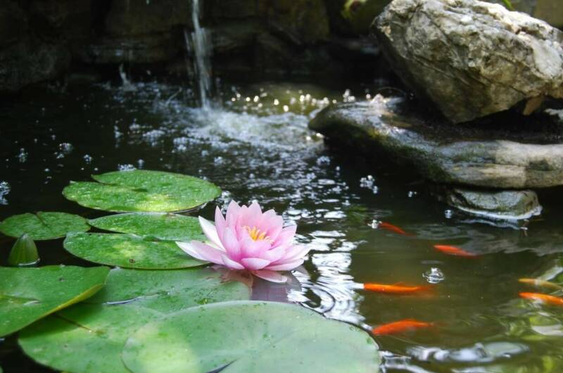 Гостевой дом «Port Maria»