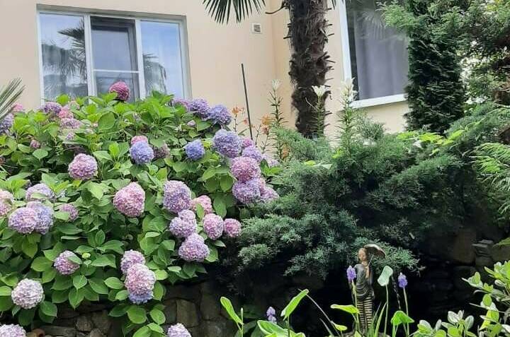 Гостевой дом «Port Maria»