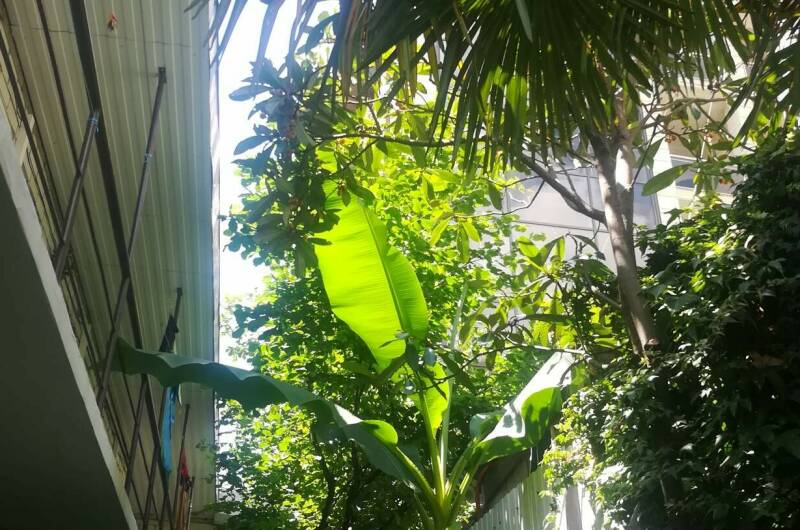 Гостевой дом «У Натальи»