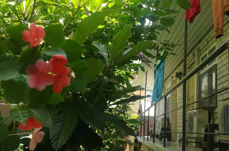 Гостевой дом «У Натальи»