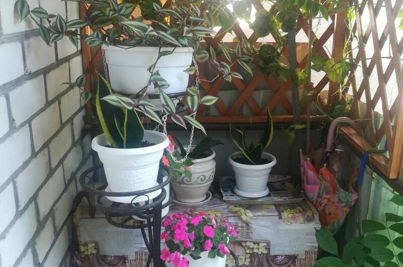 Гостевой дом «У Натальи»