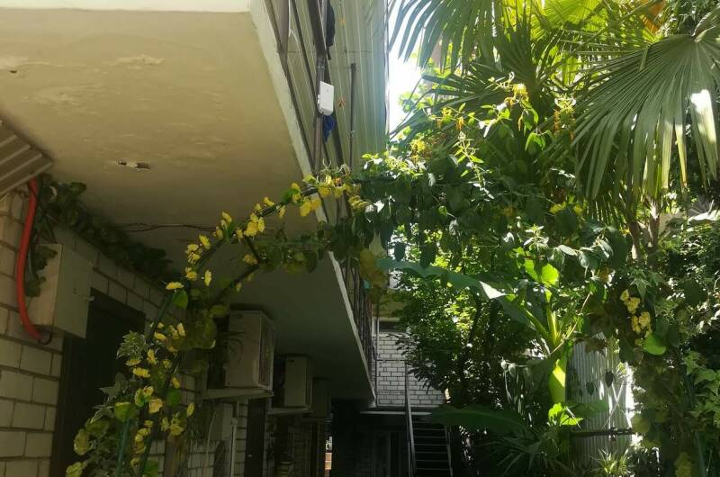 Гостевой дом «У Натальи»