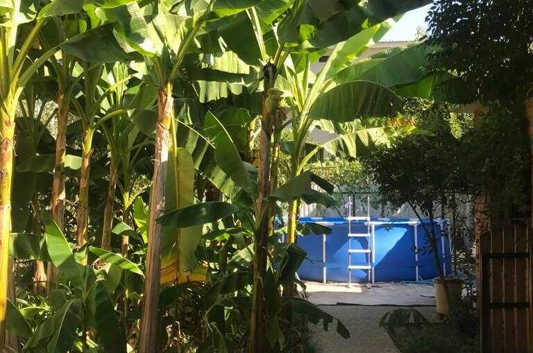 Частный дом «У Ларисы»