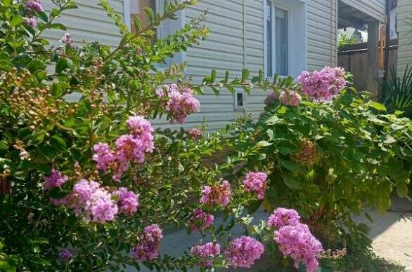 Гостевой дом «Татьяна»