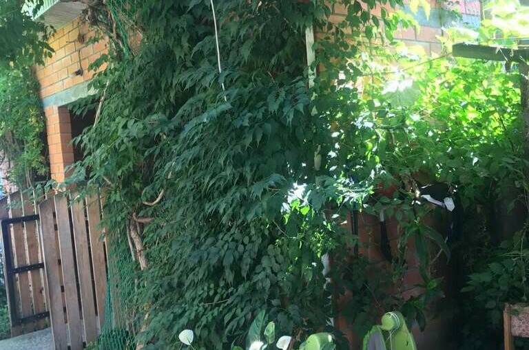 Частный дом «У Ларисы»