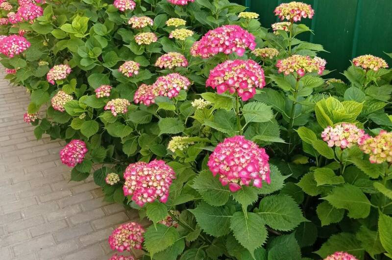 Гостевой дом «Любушка»