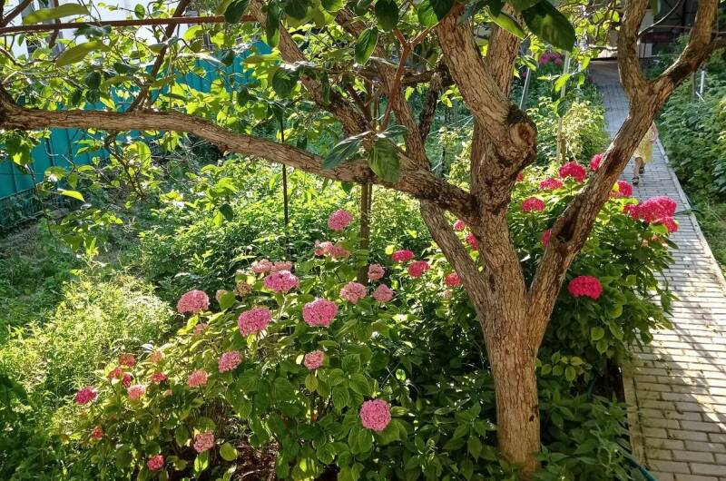 Гостевой дом «Любушка»