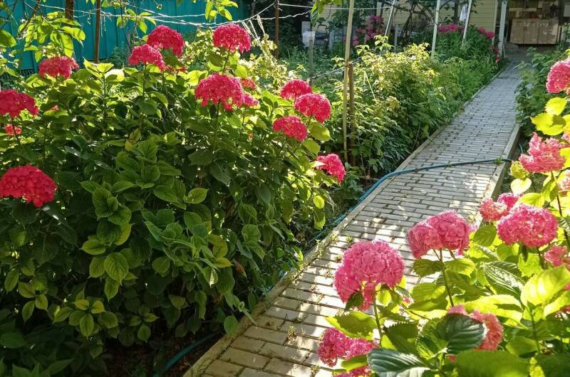 Гостевой дом «Любушка»