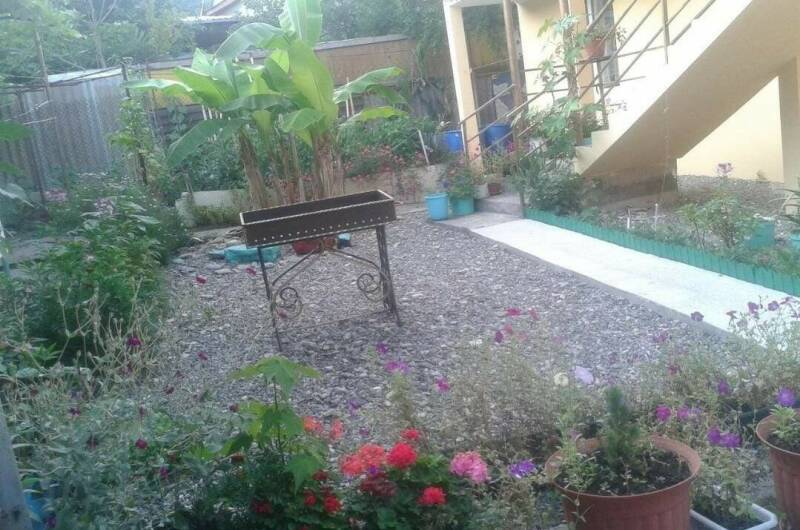 Гостевой дом «Лоо-Амелия»