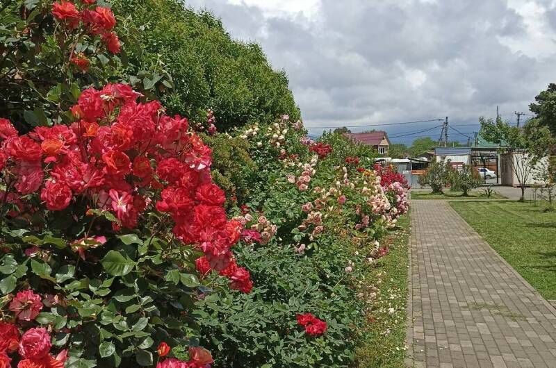 Трёхкомнатная квартира в Сириусе