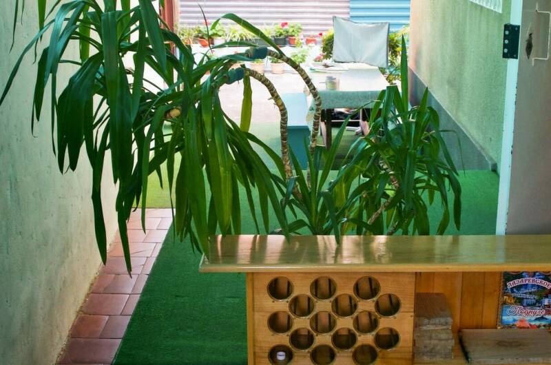 Гостевой дом «ОКТАВА»