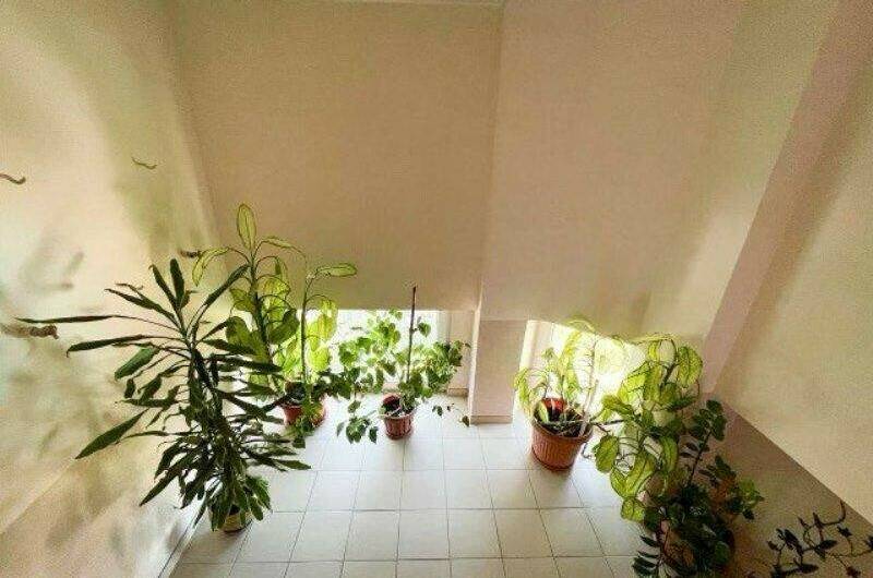 Гостевой дом «Мирный»