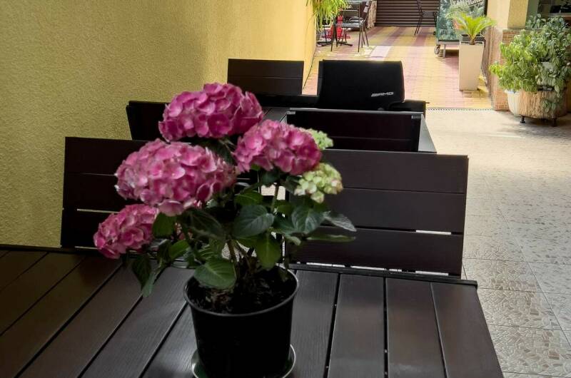 Гостевой дом «Взлетный»