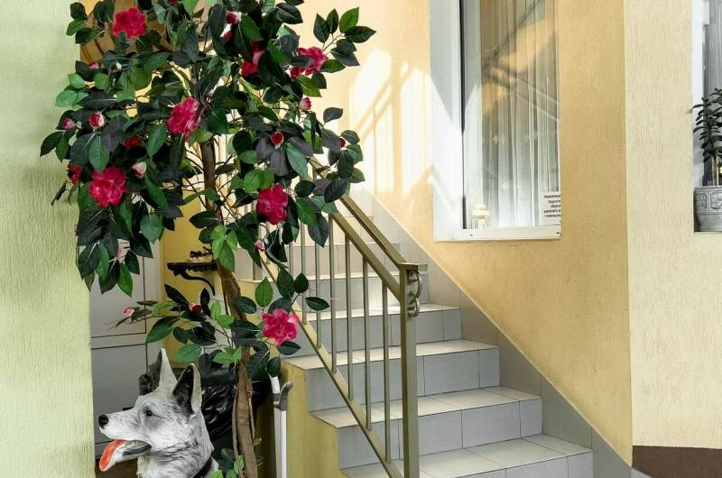 Гостевой дом «Взлетный»