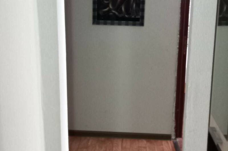 Двухкомнатная квартира в центре