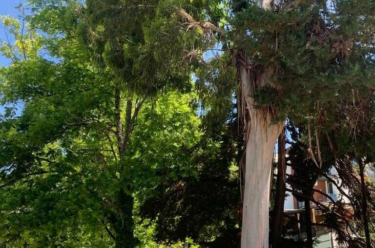 Квартира в ЖК «Касабланка»