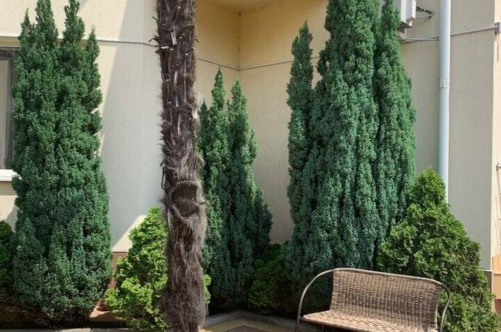 Гостиница «Лотос»