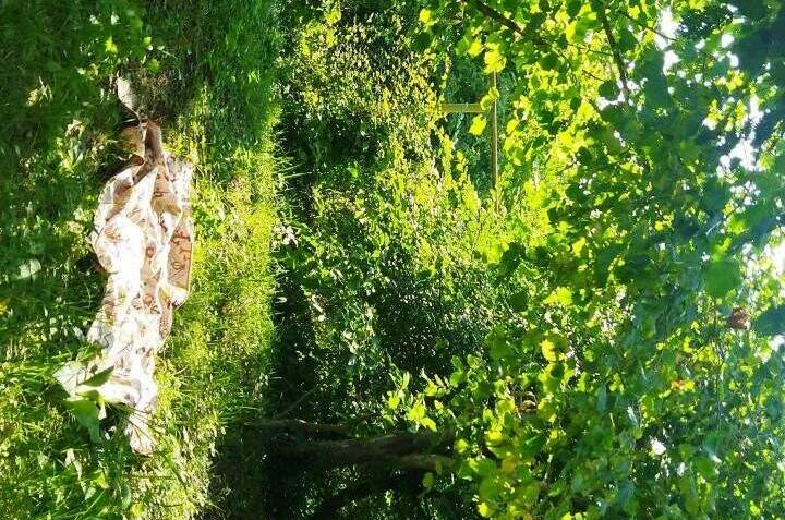 Студия в частном доме