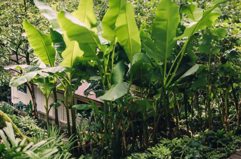 Гостевой дом «LARA»