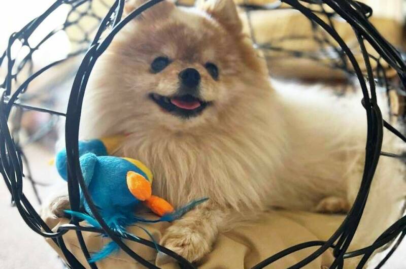 Апарт-отель «ТК»